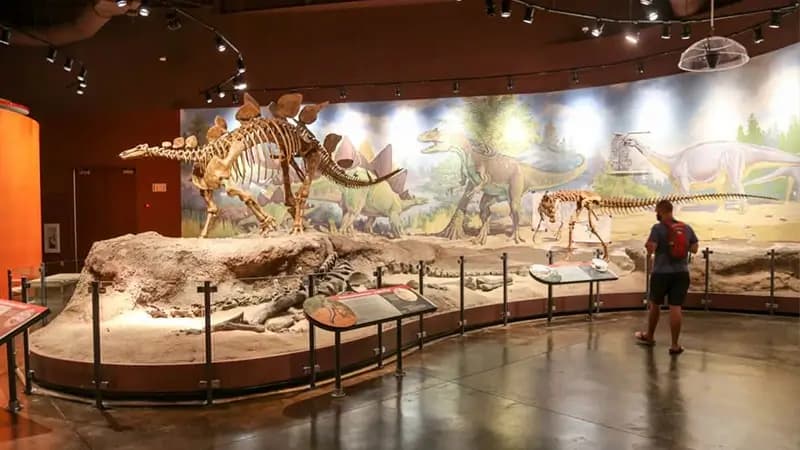 Discover Main Image